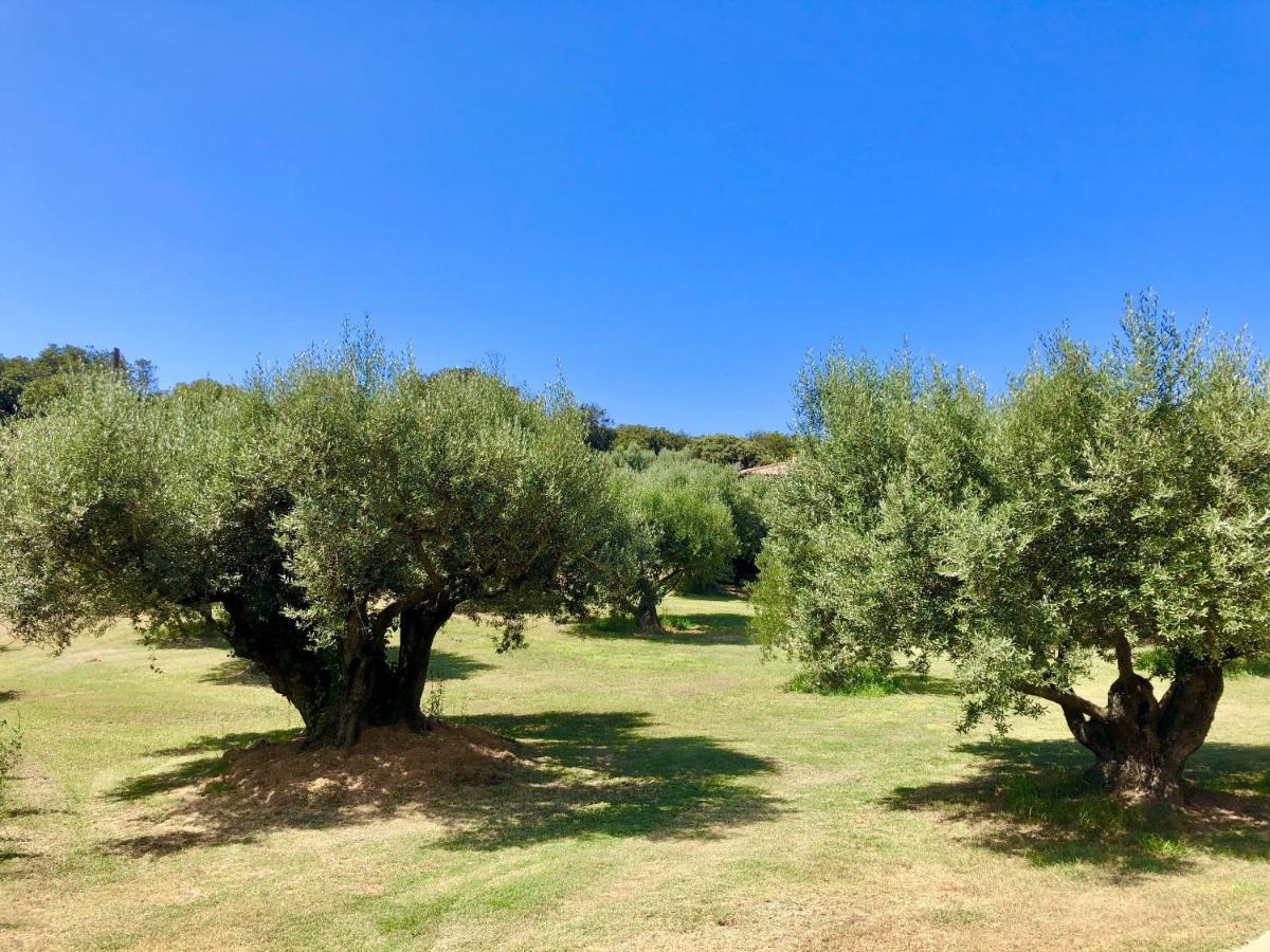 בוניפסיו Nature & Design מראה חיצוני תמונה